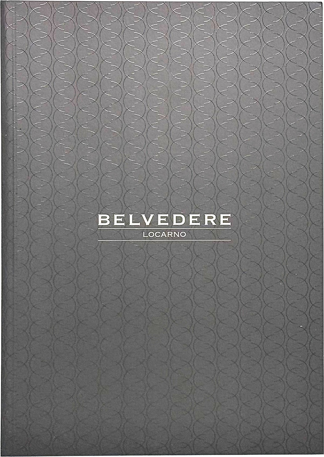 <p>Belvedere Hotel, 2016</p>